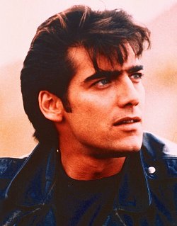 http://topkool.free.fr/images_seriestv/flicdanslamafia01.jpg